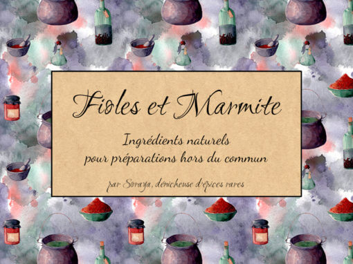 Fioles et Marmite : Identité visuelle et illustrations